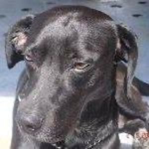 Meet your Posher, Isa